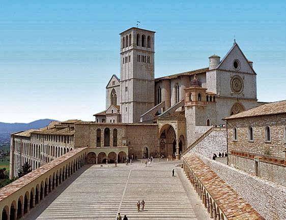 Camere la mimosa