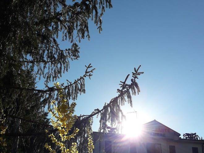 Caponord Numberuan Image