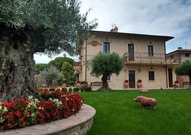 Domus angeli