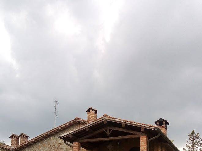 Focardi de gennaro carla