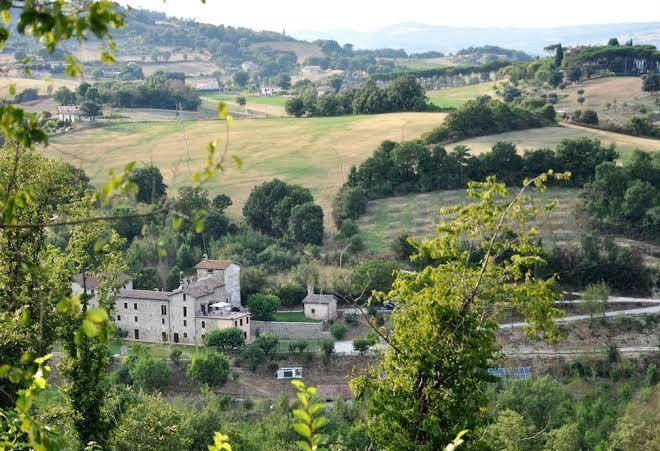 I gelsi di santa cristina