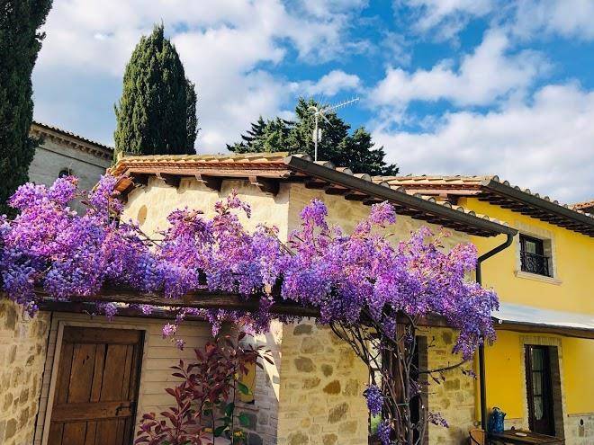 Il cortile delle rose