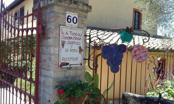 Il grappolo e la rosa