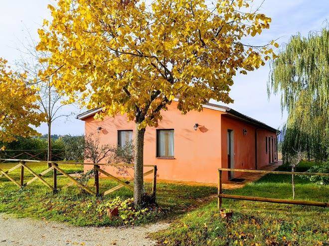 Il merollo