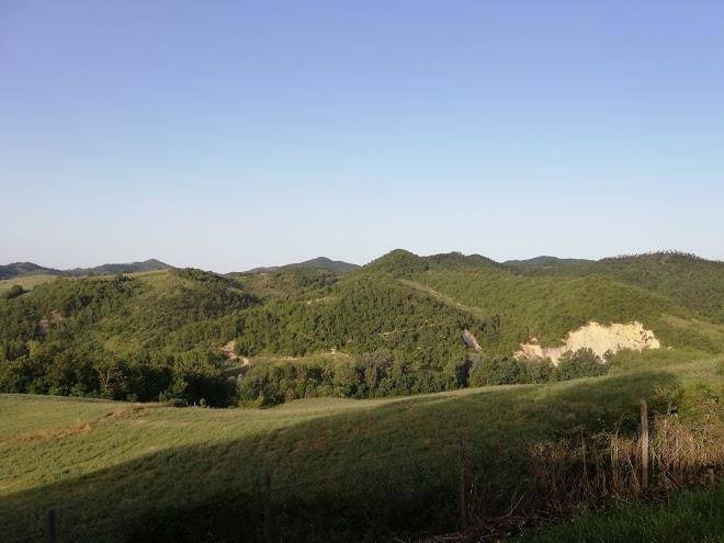 Il nido del cucco