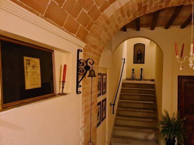 Il nido del cuculo