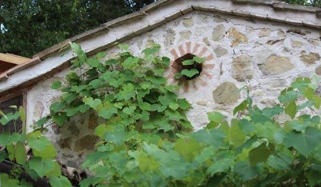Il nido tra le querce