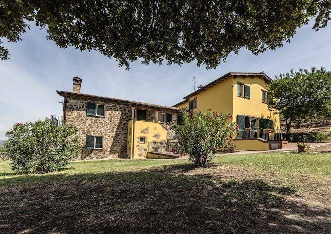 Il poggio delle ginestre