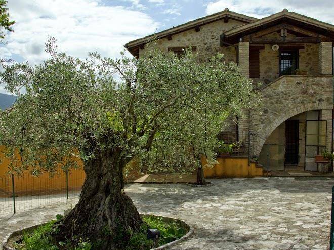 L'oro di cicognola b&b e azienda agricola