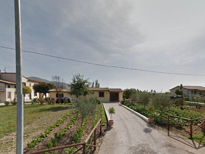 La balia della spina