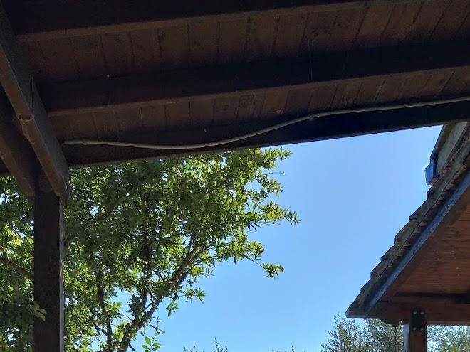La capanna dei borgia