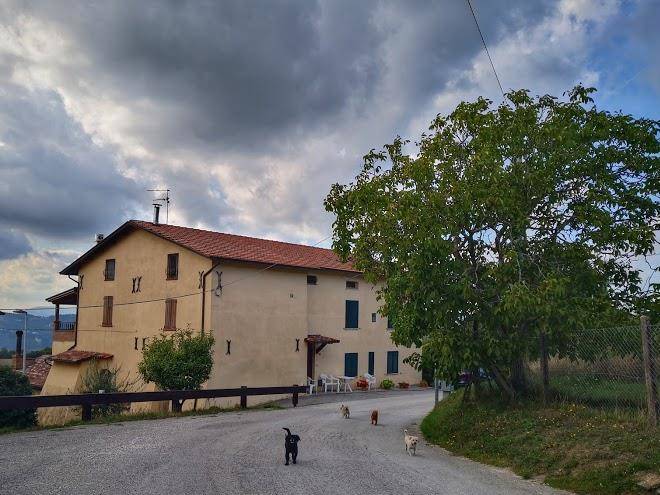 La cinci allegra