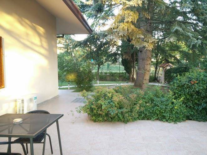 La collina felice