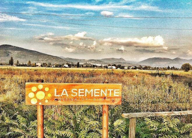 La semente