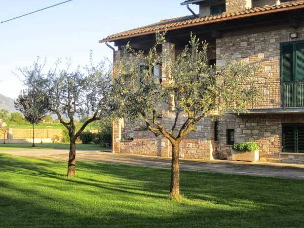 La strada di francesco di assisi