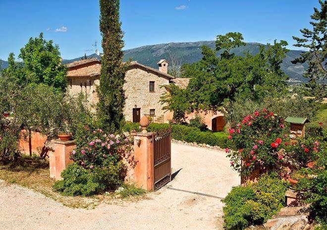 La tenuta dei ricordi s s az agricola