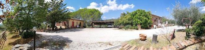 Le casette di cedromonte
