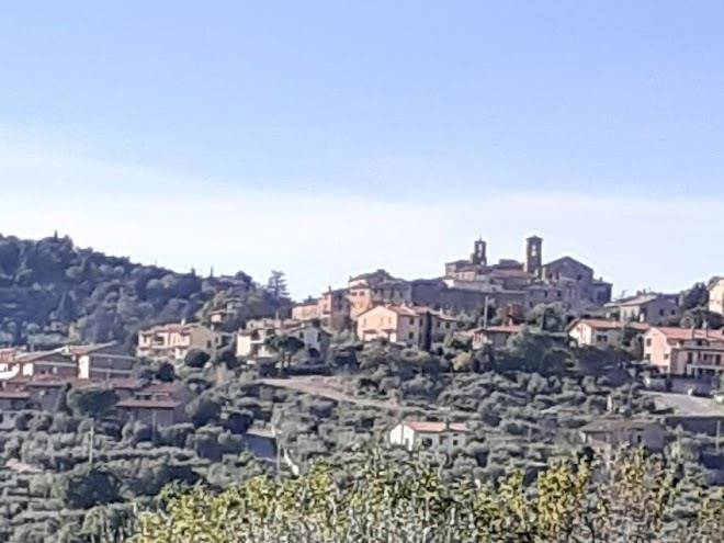 Nella quiete del verde