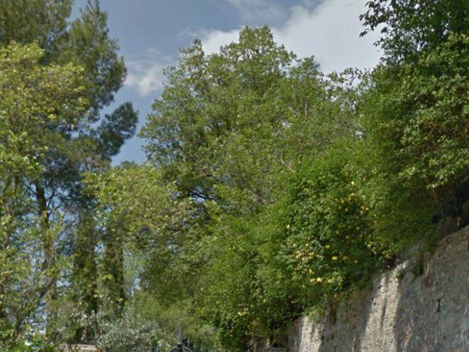 Palazzo Del Conte Image