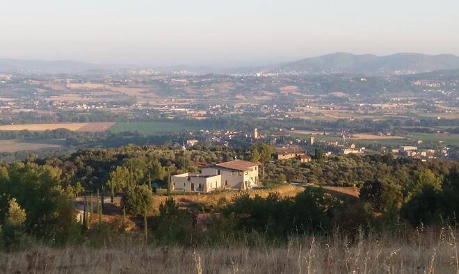 Poggio dei signorelli