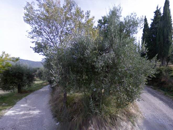 Tenuta sant'ellera