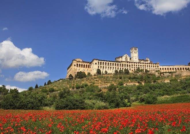 Viole country hotel