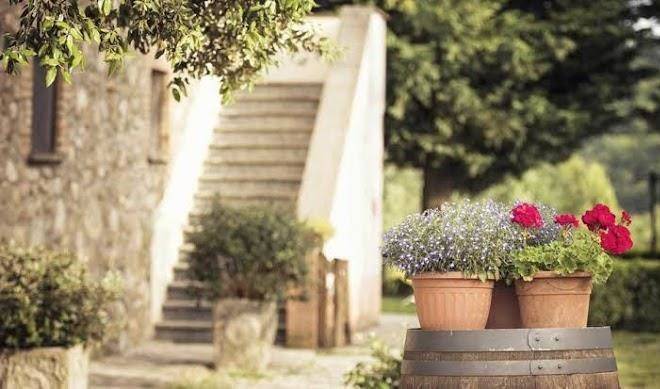 Agriturismo pomonte