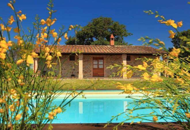 Azienda agricola tenuta di corbara