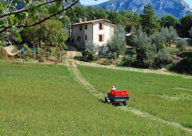 Azienda agrituristica la drupa