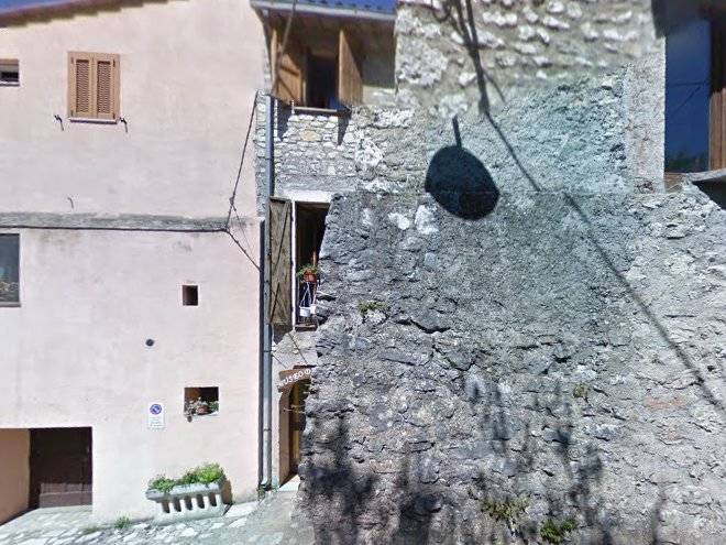 Fattoria Didattica La Collina Image