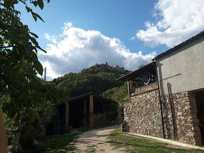 La fattoria di mamma ro'