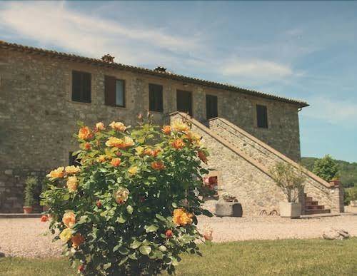 La locanda dell'olmo di vilma moscetti