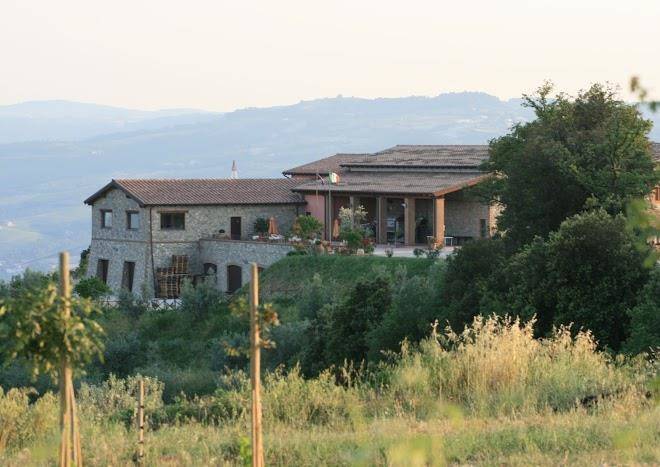 Tenuta vitalonga winery