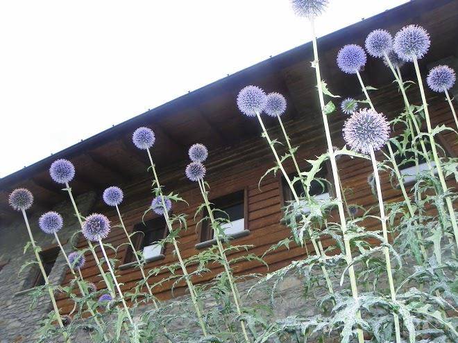 Albergo Les Granges Image