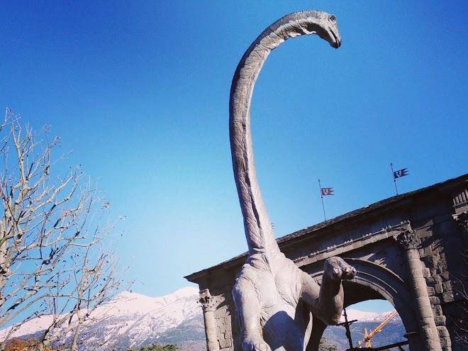 B&b il contadino