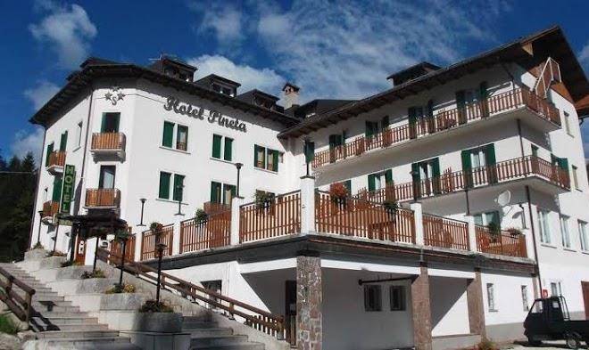 Hotel Pineta Image