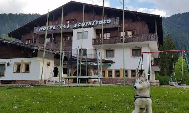 Hotel scoiattolo