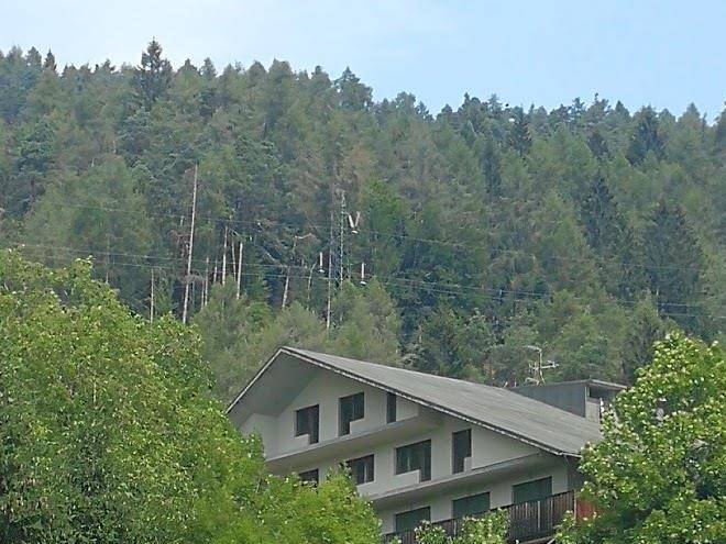 Park hotel rododendro