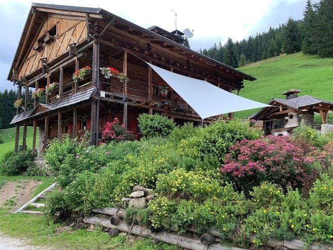 Tabie Longiacosta Image