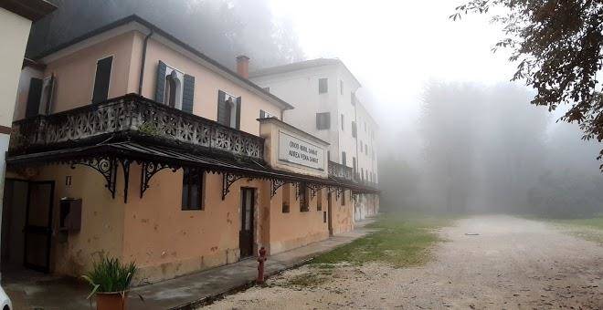 Vena d' oro
