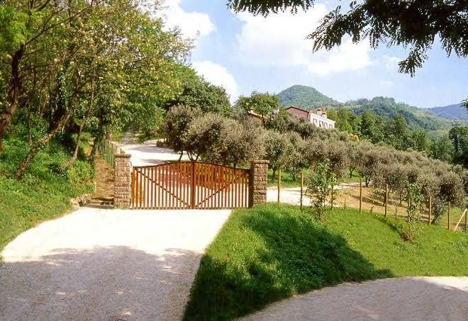 Azienda Agrituristica Ai Gradoni Image