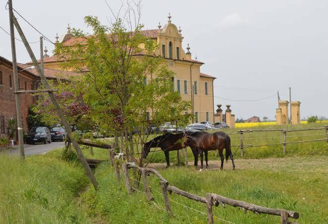 B&b Ca' Gialla Image