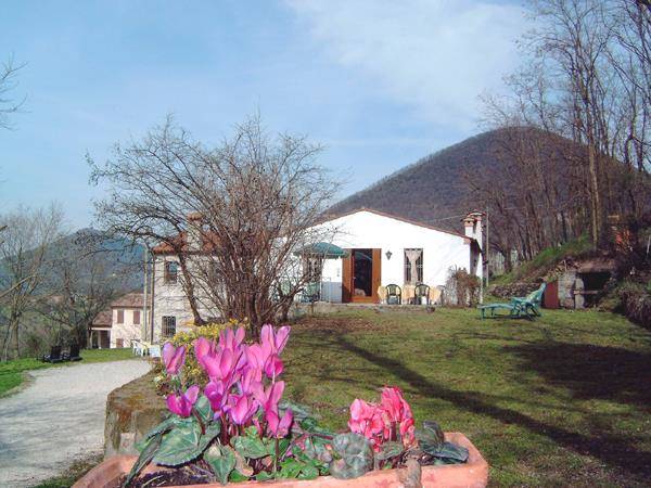 Home life bed colli euganei