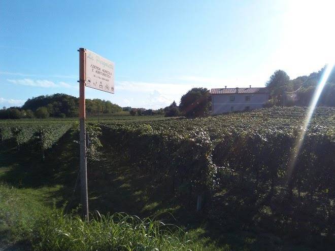 Le pergolette