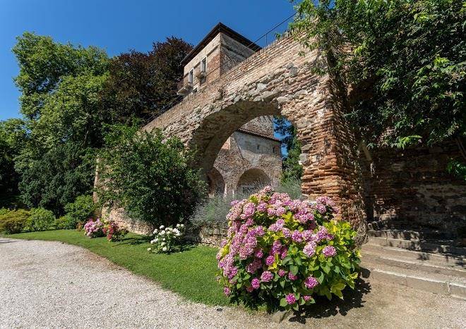 Massimago Wine Tower Image