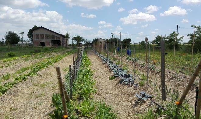 Tenuta la comuna