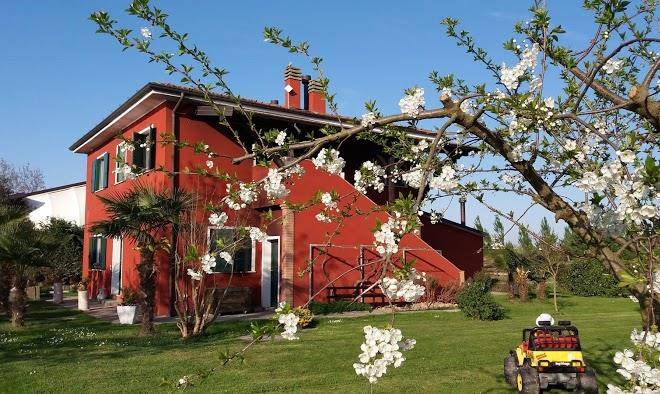 555ranch agriturismo adriano pedretti