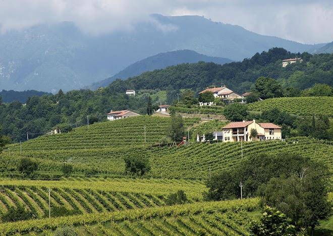 Agriturismo moro barel