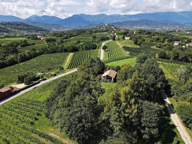 Azienda agricola mani sagge