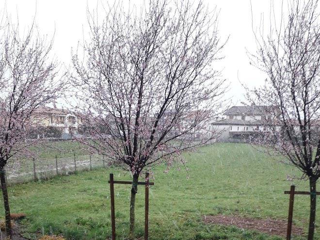 Ca' degli artisti